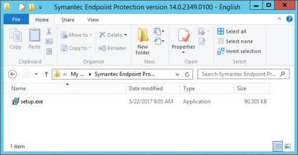 symantec endpoint protection update license file